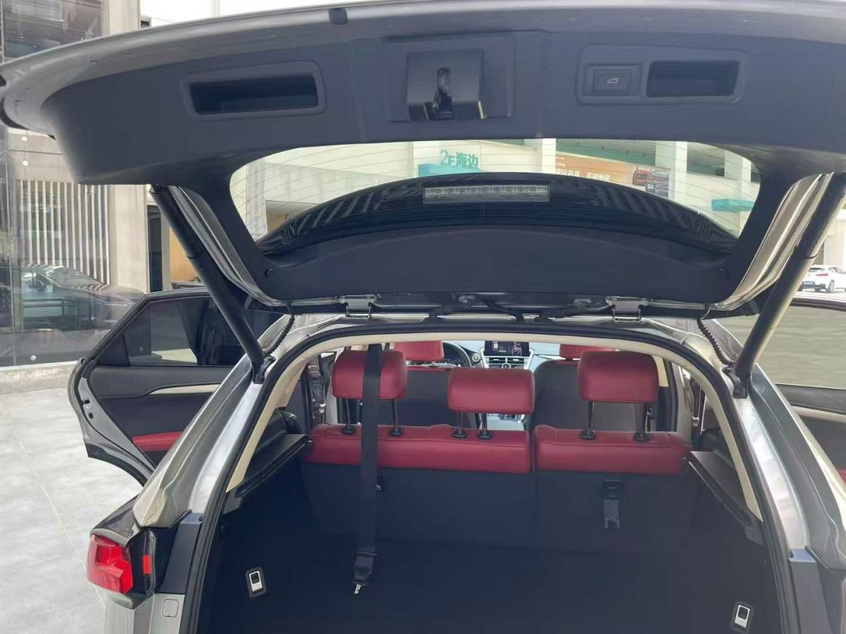 雷克薩斯 NX  2020款 200 全驅(qū) 鋒尚版 國V圖片