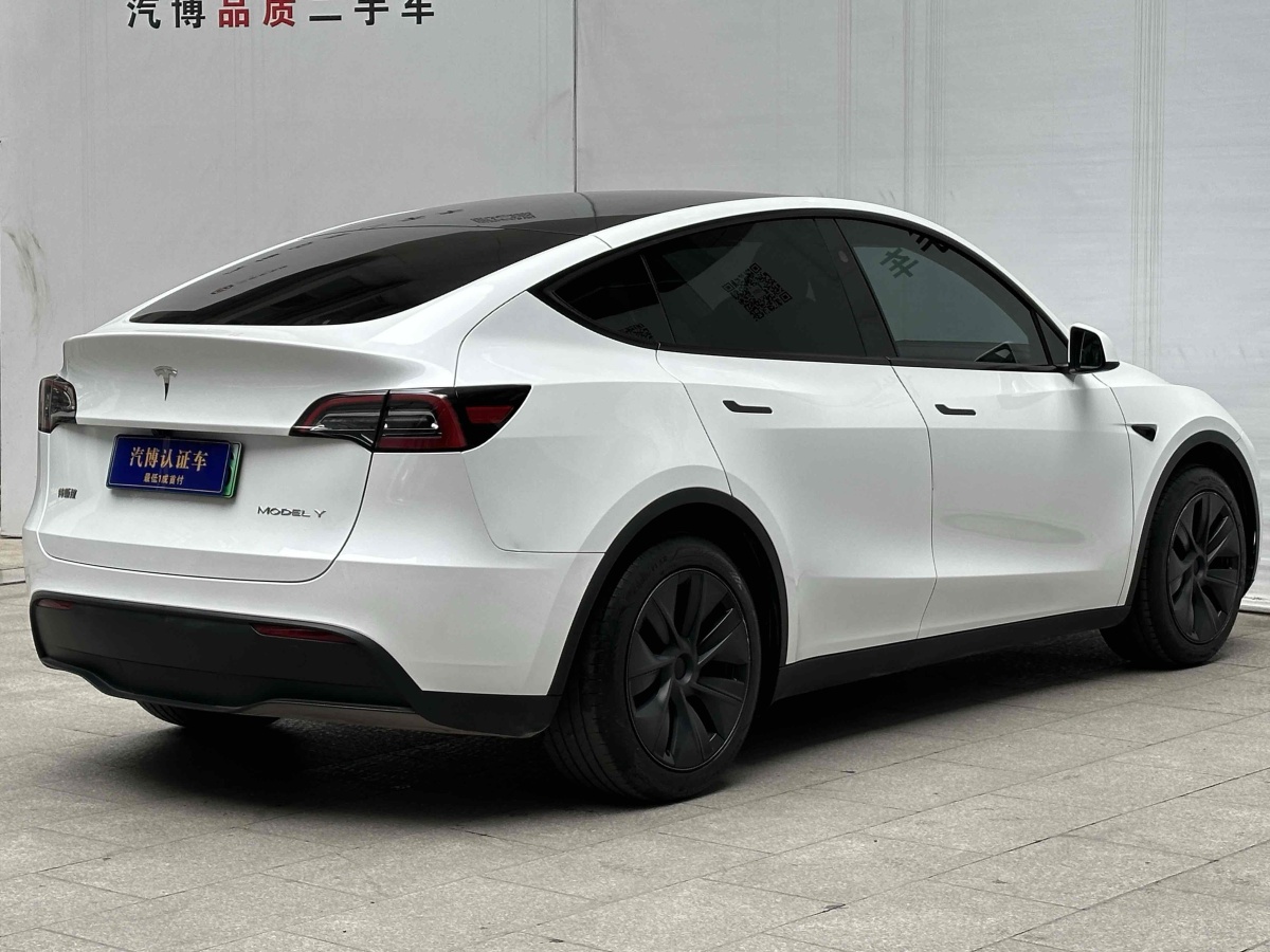 特斯拉 Model 3  2020款 改款 長續(xù)航后輪驅(qū)動版圖片