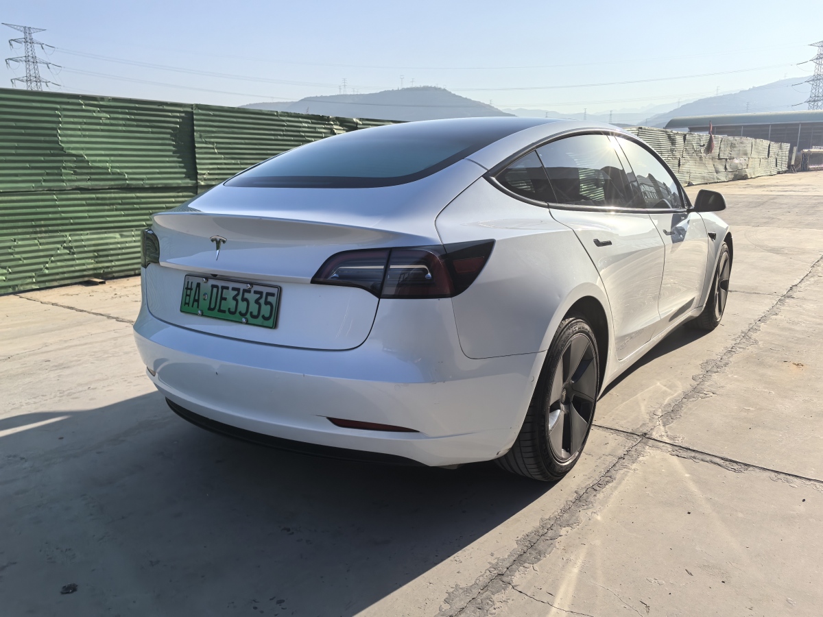 特斯拉 Model 3  2019款 標(biāo)準(zhǔn)續(xù)航后驅(qū)升級版圖片