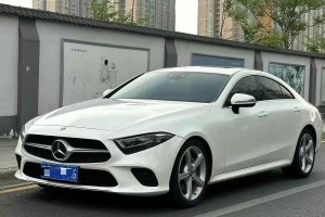 奔馳CLS級(jí) 奔馳 CLS 300 動(dòng)感型