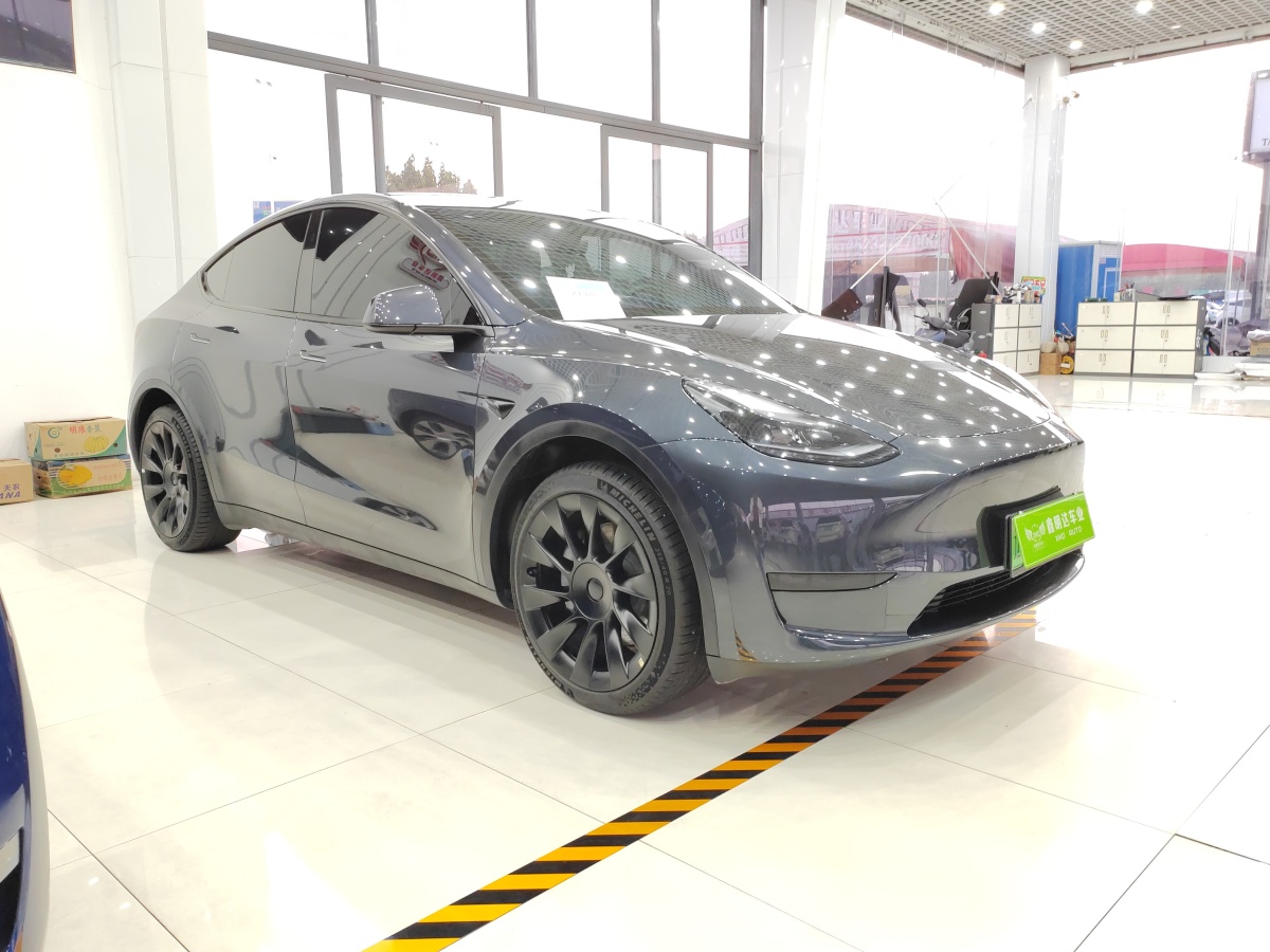 特斯拉 Model Y  2020款 改款 長續(xù)航后輪驅(qū)動(dòng)版圖片