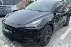 Model Y 特斯拉 后輪驅(qū)動(dòng)版