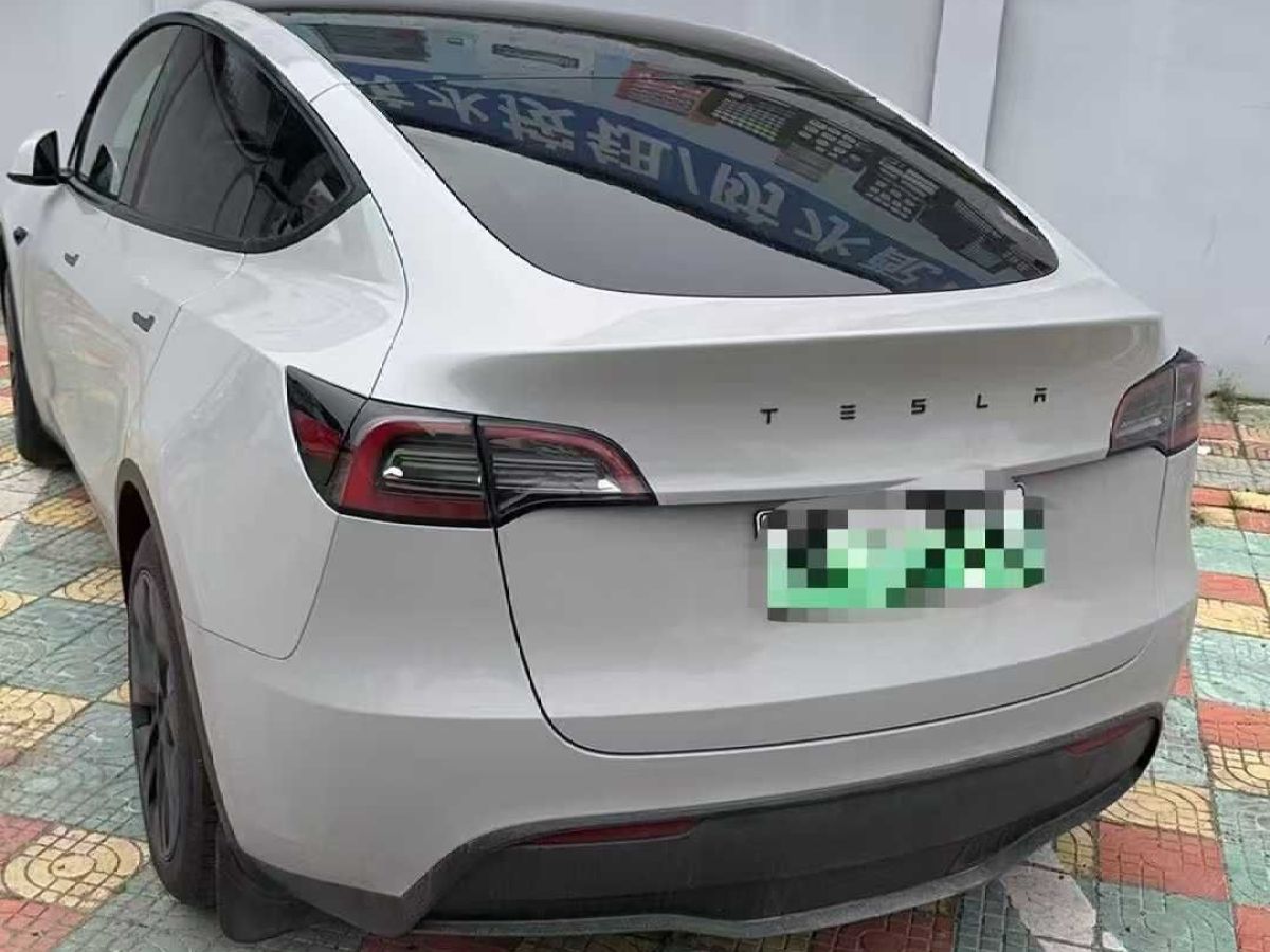 特斯拉 Model Y  2024款 Performance高性能版圖片
