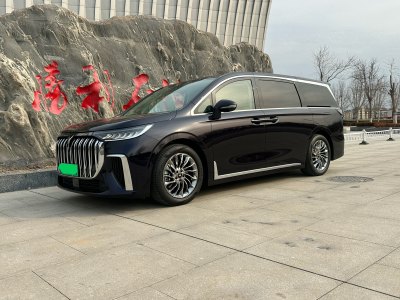 2023年11月 嵐圖 夢想家 PHEV 超長續(xù)航旗艦版圖片