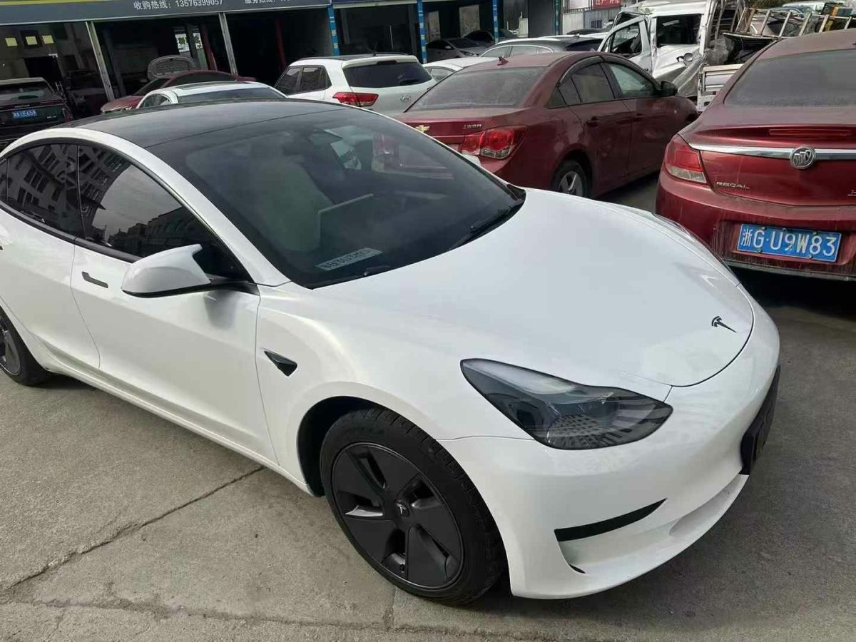 2022年7月特斯拉 Model 3  2022款 Performance高性能全輪驅(qū)動版