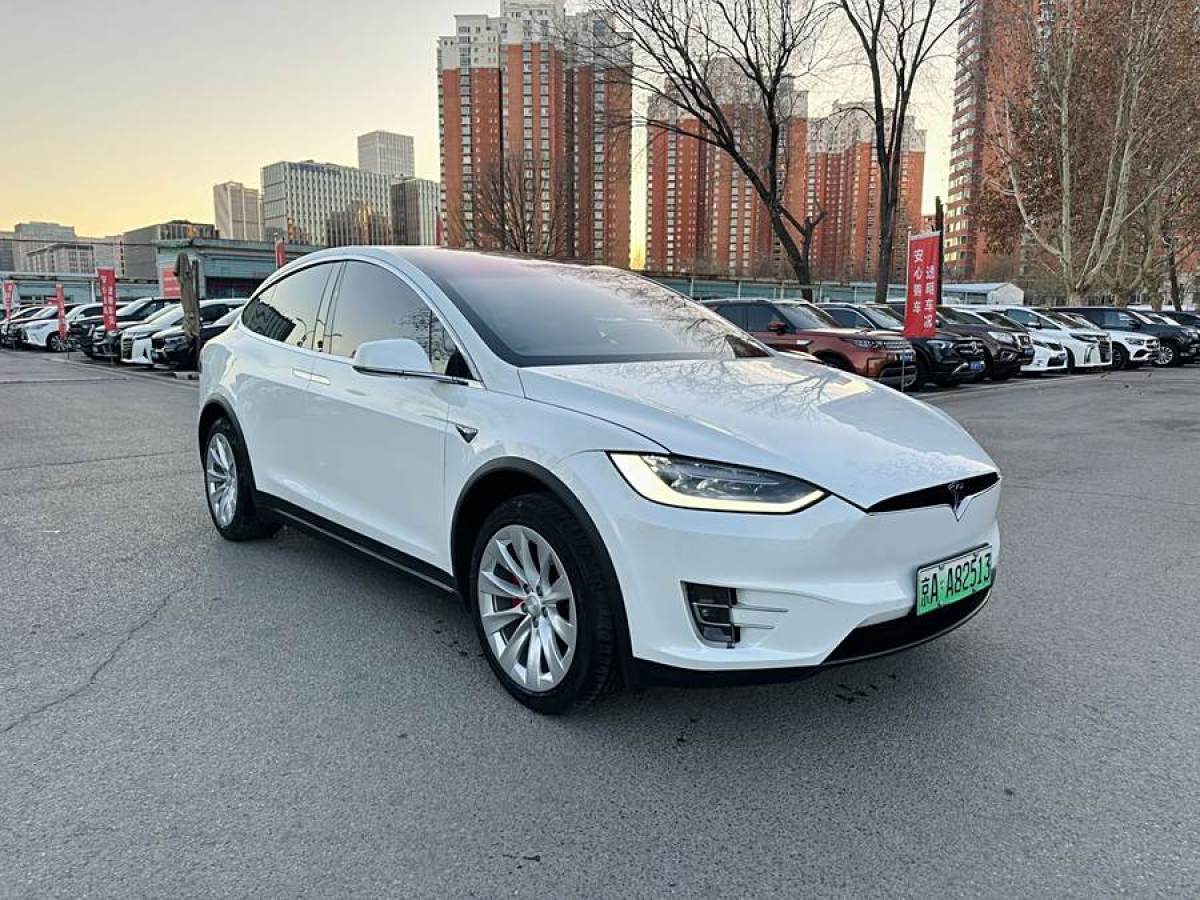 特斯拉 Model X  2017款 Model X 100D 長續(xù)航版圖片