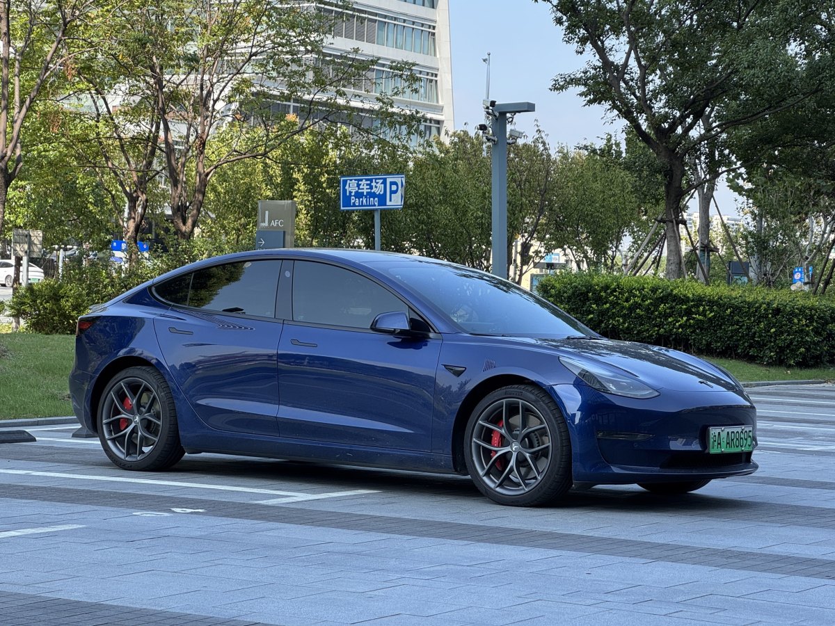 特斯拉 Model 3  2019款 Performance高性能全輪驅(qū)動(dòng)版圖片