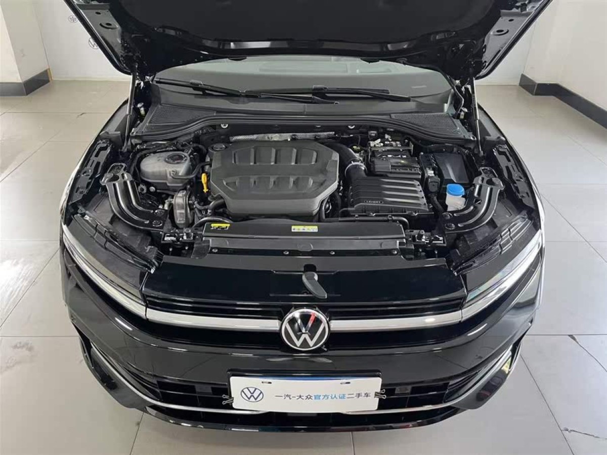 大眾 邁騰  2024款 380TSI DSG尊貴版大邁包圖片