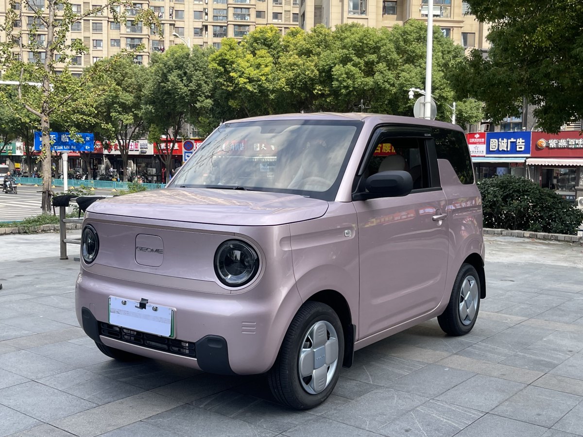 吉利 熊貓mini  2023款 200km 耐力熊圖片