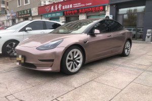 Model 3 特斯拉 標準續(xù)航后驅(qū)升級版