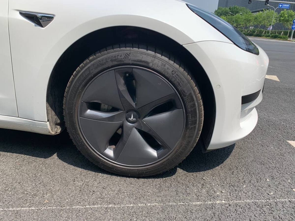特斯拉 Model 3  2019款 標(biāo)準(zhǔn)續(xù)航后驅(qū)升級(jí)版圖片