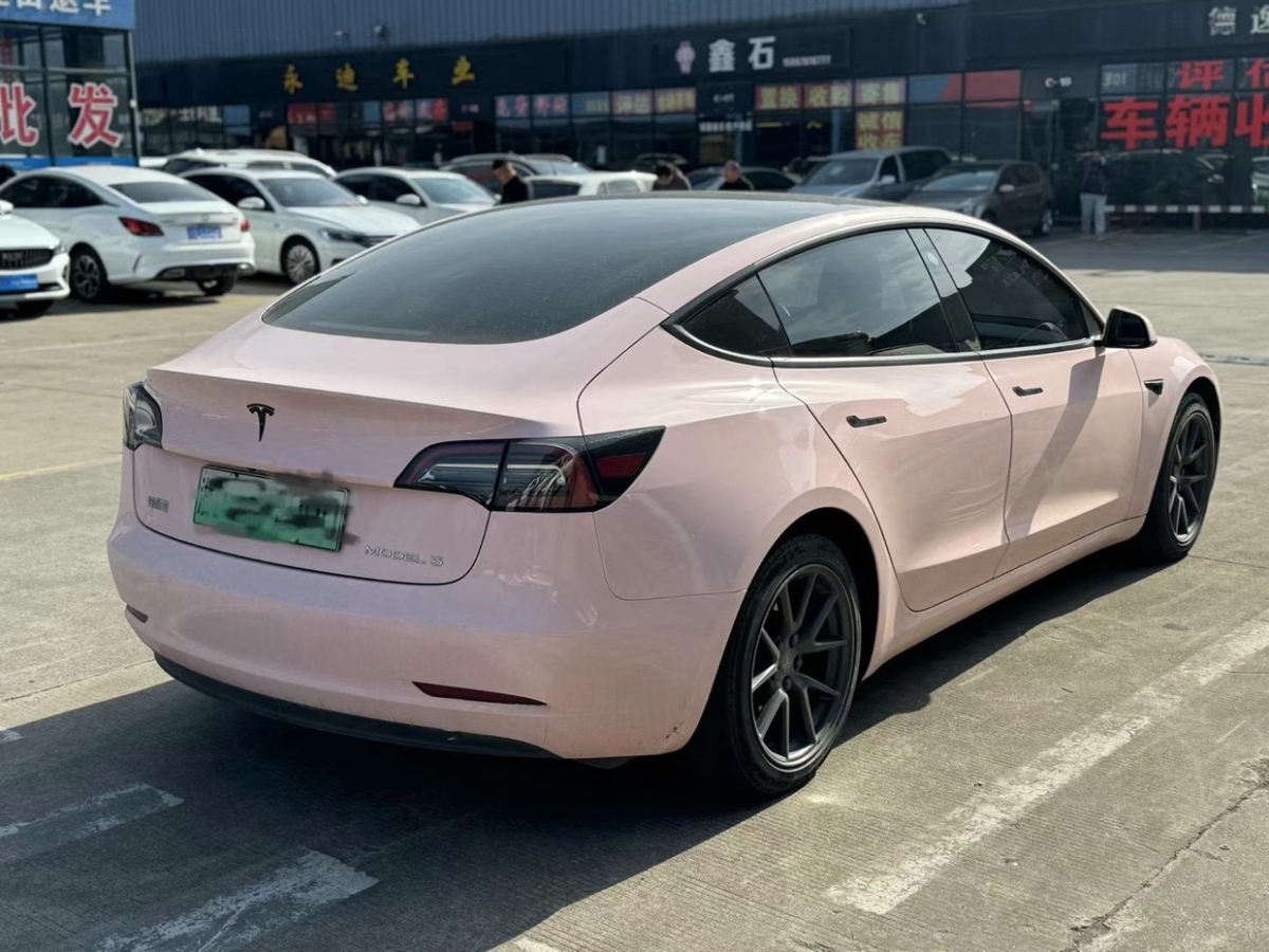 特斯拉 Model 3  2021款 標準續(xù)航后驅(qū)升級版圖片