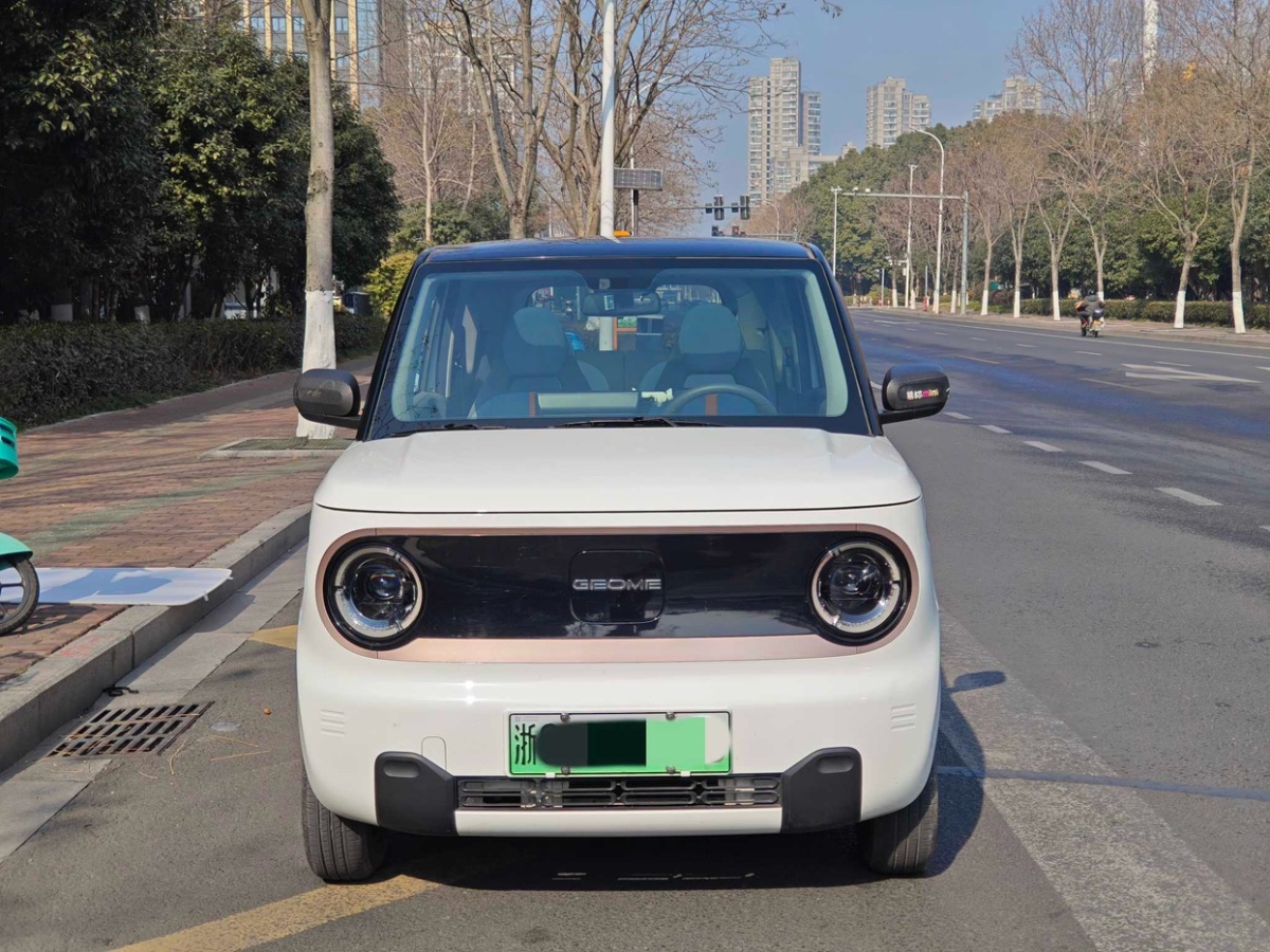 吉利 熊貓mini  2023款 200km 靈動熊圖片