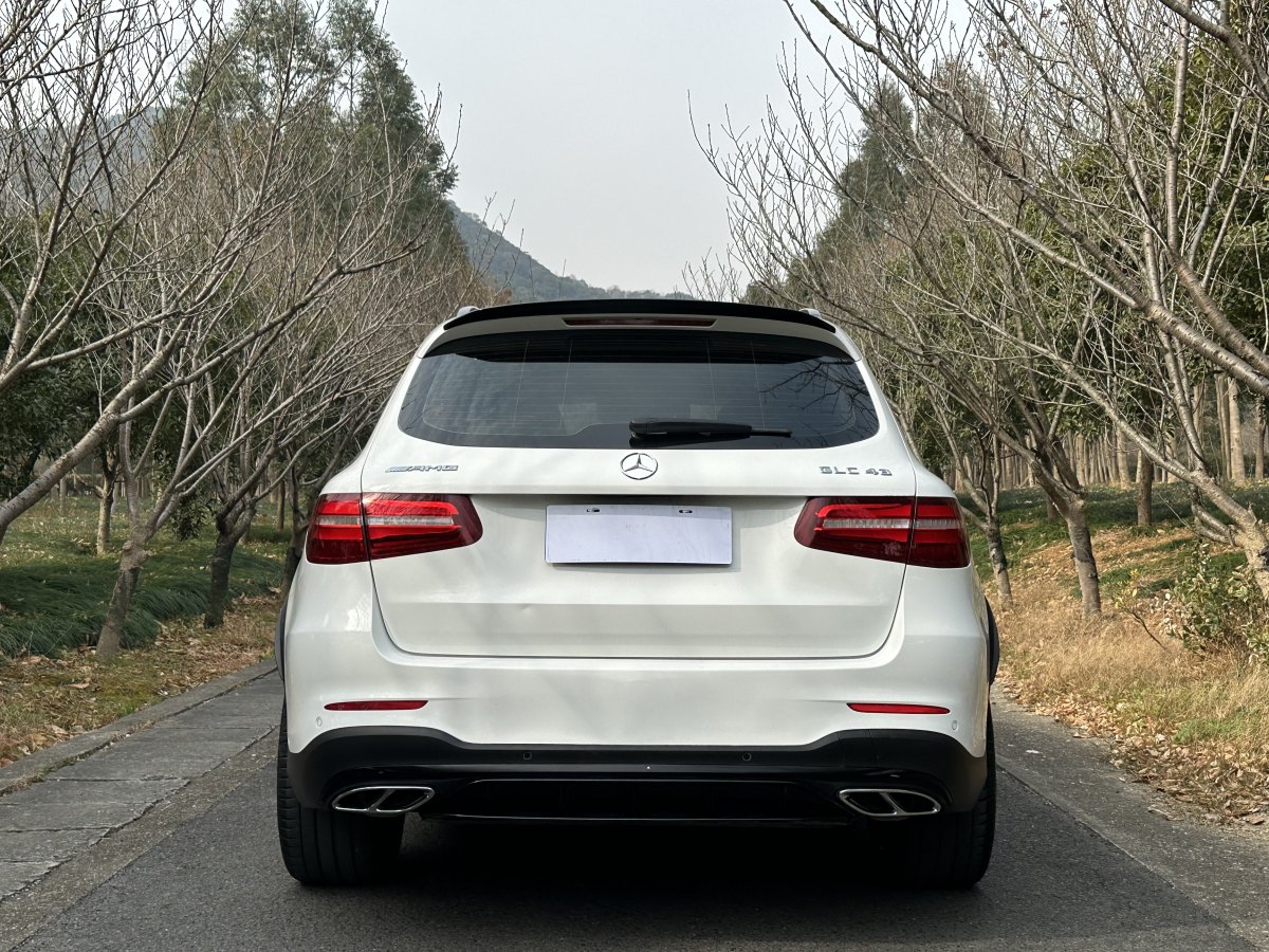 奔馳 奔馳GLC AMG  2017款 AMG GLC 43 4MATIC 特別版圖片