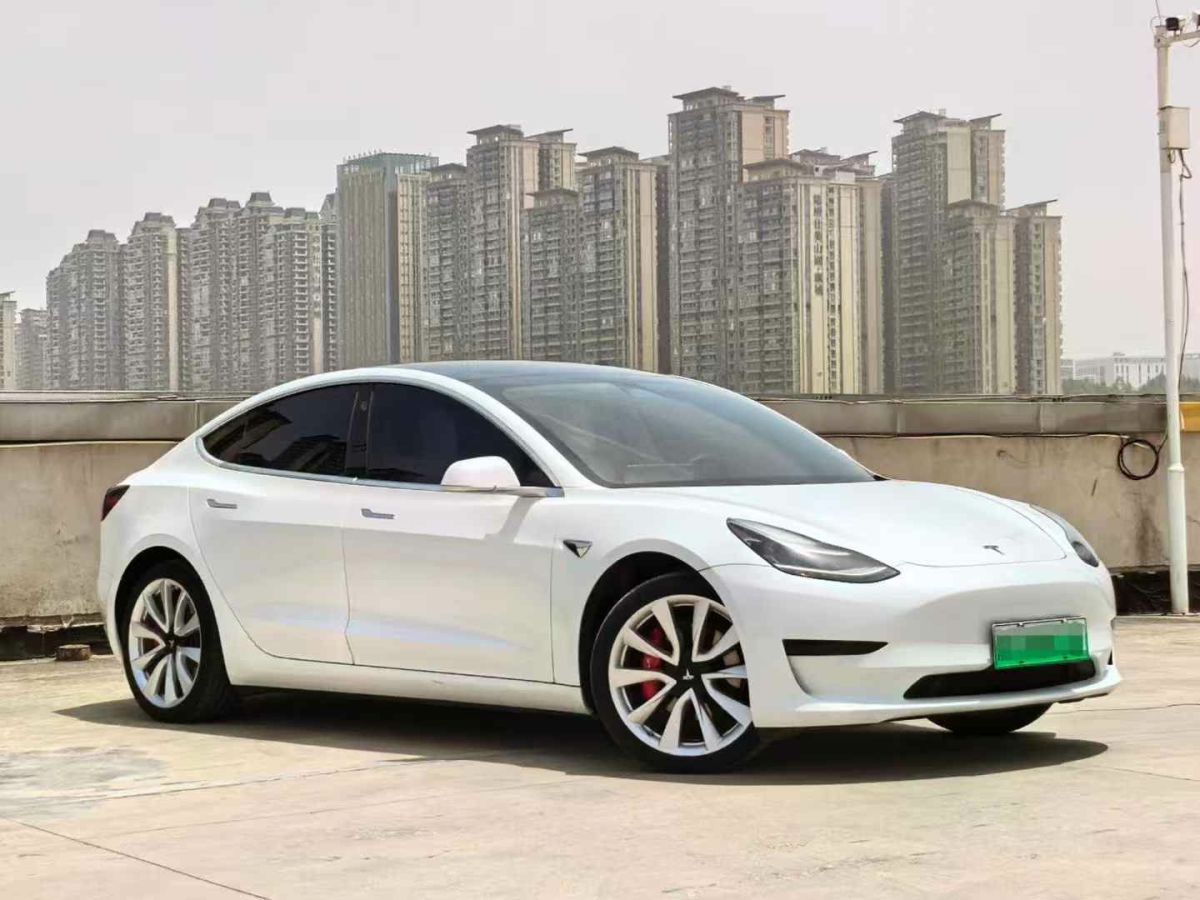 特斯拉 Model X  2020款 Performance 高性能版圖片
