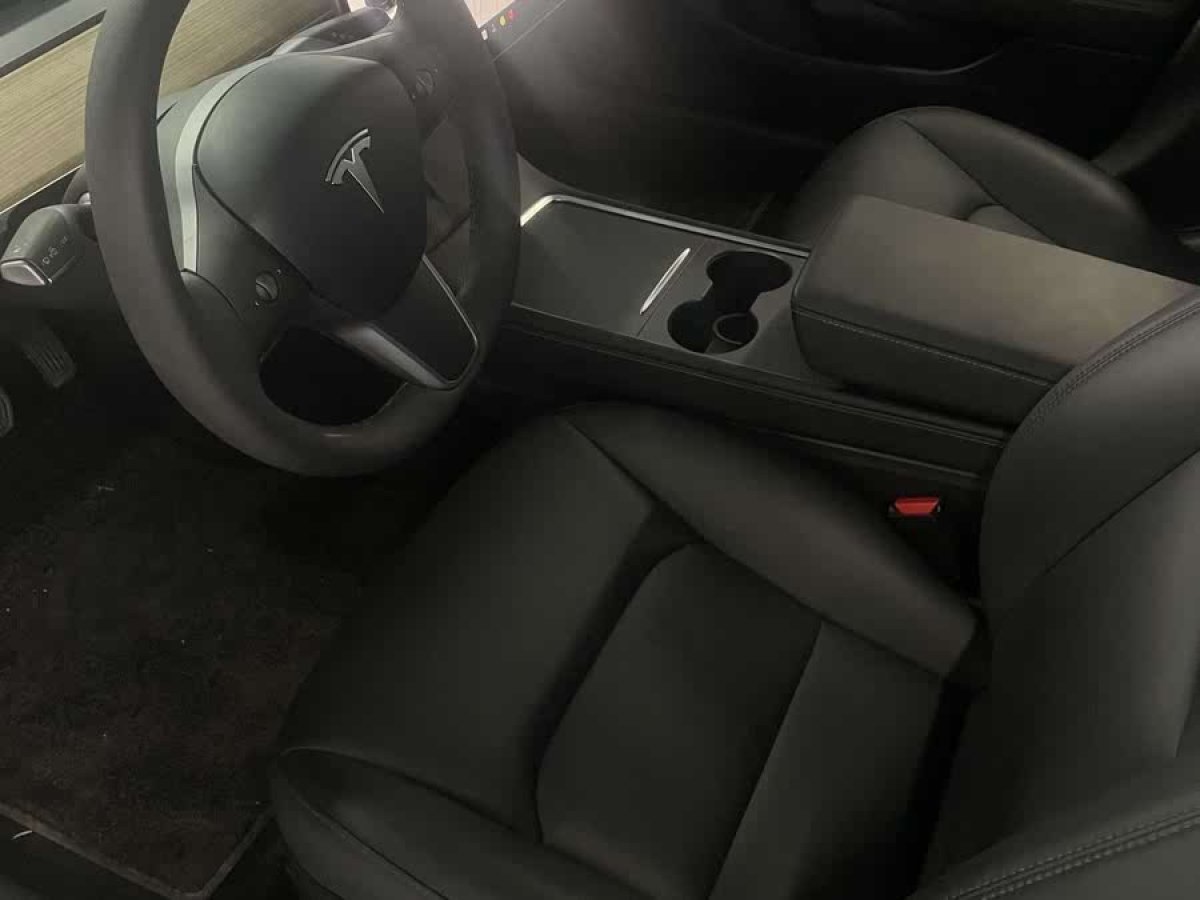 特斯拉 Model 3  2021款 改款 標準續(xù)航后驅升級版圖片