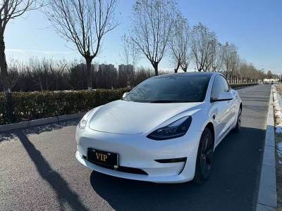 2022年3月 特斯拉 Model Y 改款 后輪驅(qū)動版圖片