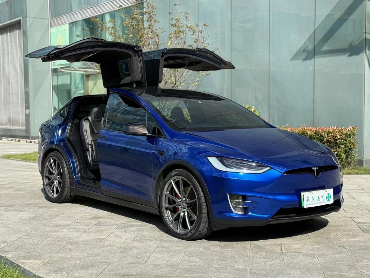 特斯拉 Model X  2016款 Model X 75D圖片