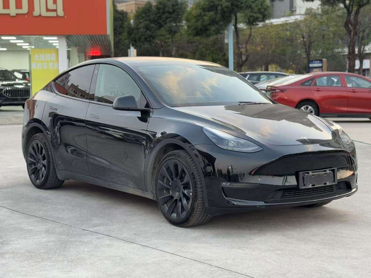 特斯拉 Model Y  2022款 長續(xù)航全輪驅(qū)動(dòng)版圖片