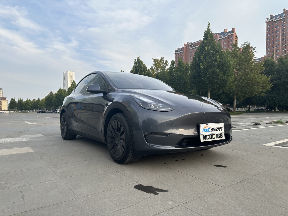 特斯拉 Model 3  2021款 改款 Performance高性能全輪驅(qū)動版圖片