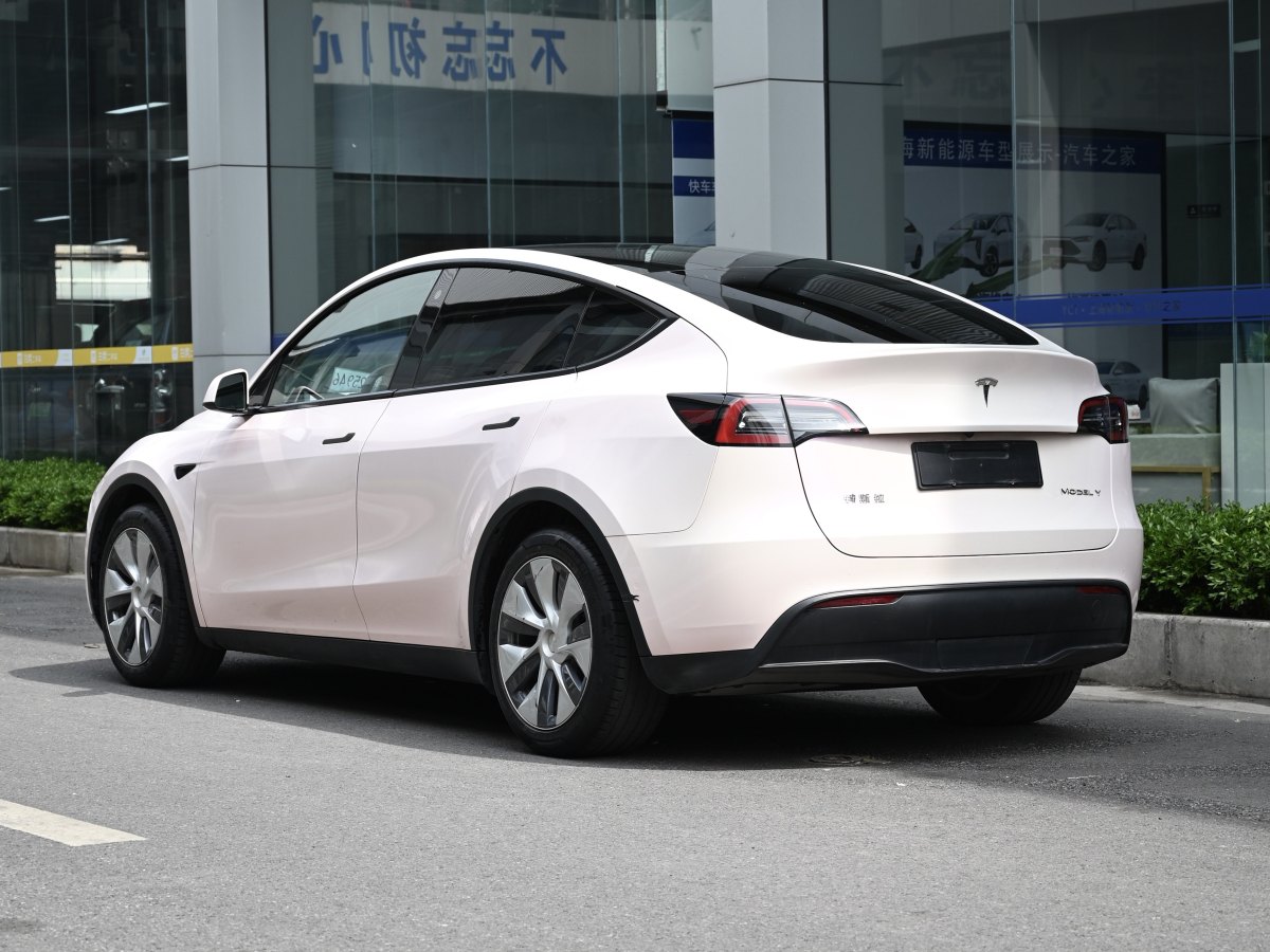 特斯拉 Model Y  2022款 改款 長(zhǎng)續(xù)航全輪驅(qū)動(dòng)版圖片