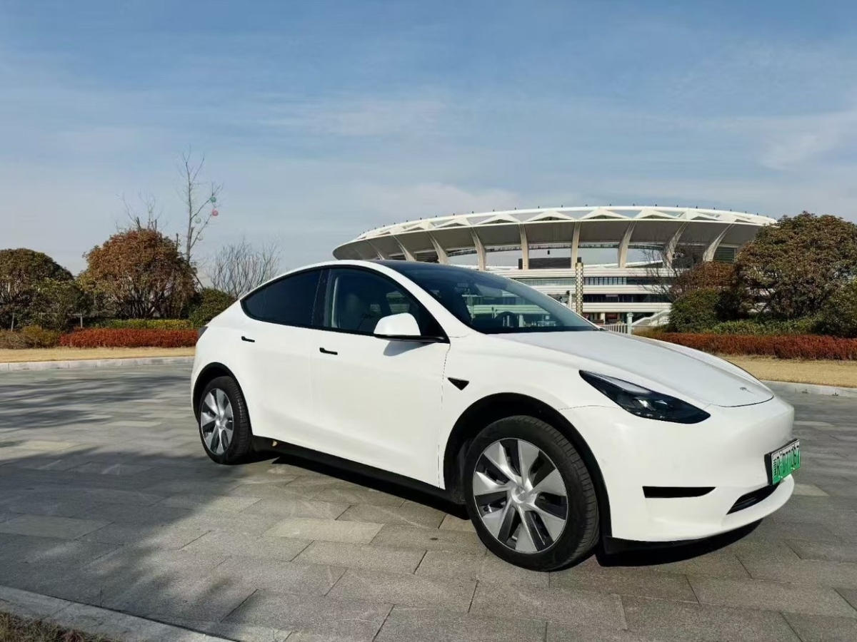 特斯拉 Model Y  2023款 后輪驅(qū)動版圖片