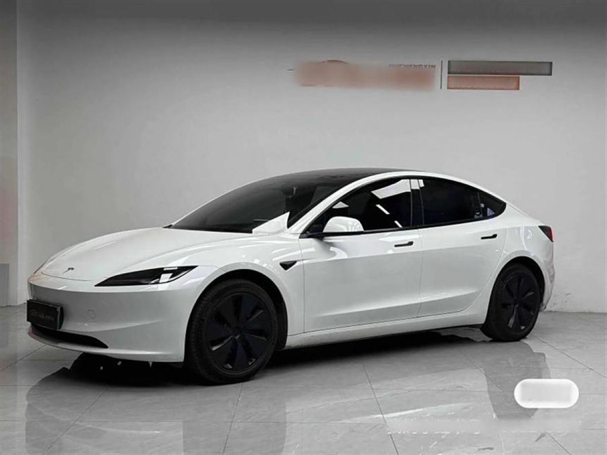 2024年9月特斯拉 Model 3  2024款 高性能全輪驅動版