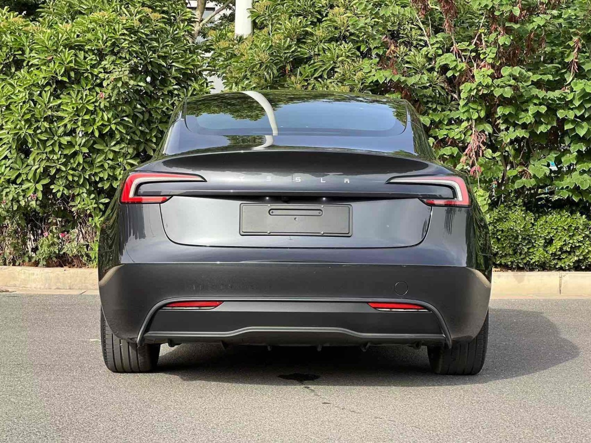 特斯拉 Model Y  2023款 煥新版 后輪驅(qū)動圖片