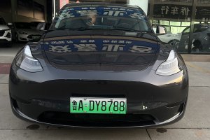 Model Y 特斯拉 改款 长续航后轮驱动版