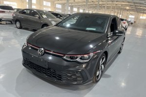 高尔夫GTI 大众 改款 380TSI DSG GTI