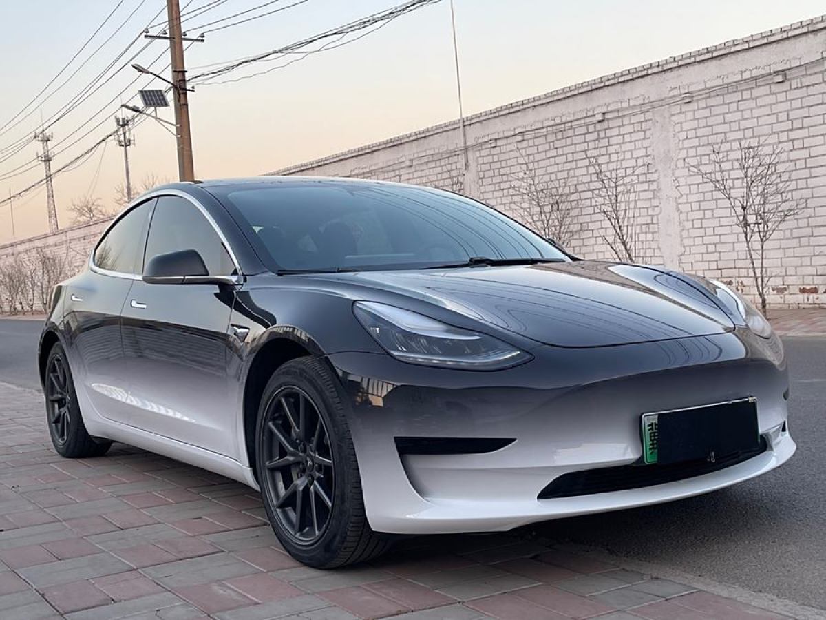 特斯拉 Model 3  2019款 標(biāo)準(zhǔn)續(xù)航后驅(qū)升級(jí)版圖片