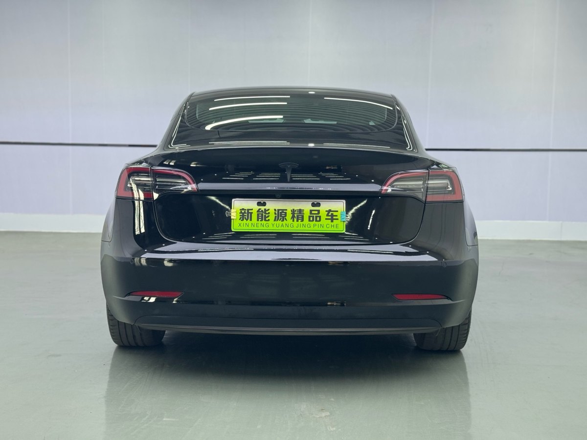 特斯拉 Model 3  2019款 標(biāo)準(zhǔn)續(xù)航后驅(qū)升級(jí)版圖片