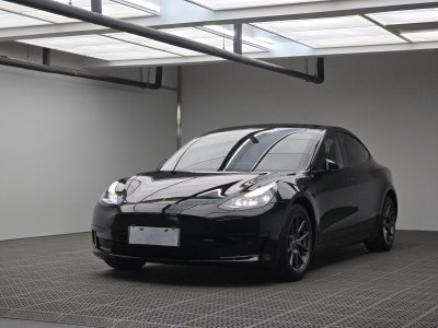 2021年3月 特斯拉 Model 3 標準續(xù)航后驅(qū)升級版圖片