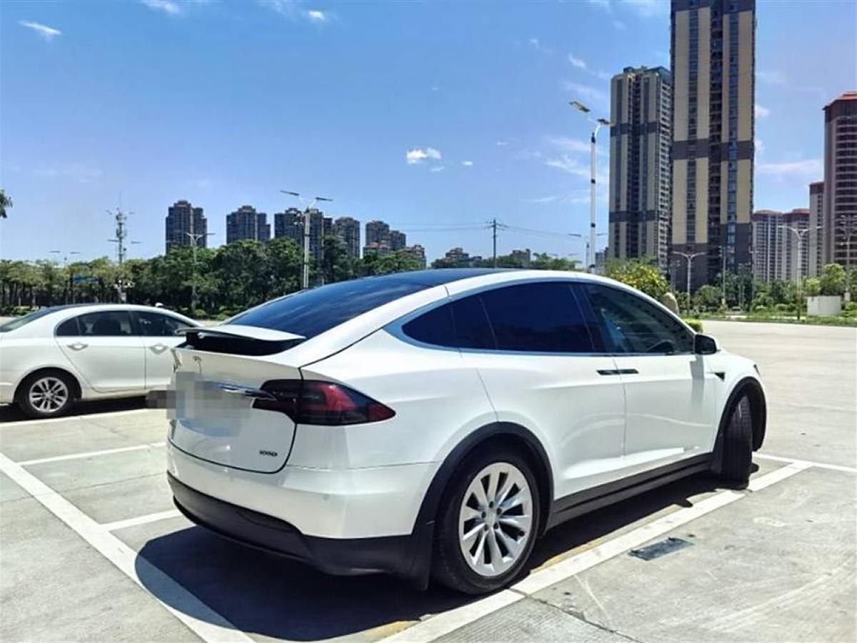 特斯拉 Model X  2019款 長(zhǎng)續(xù)航版圖片