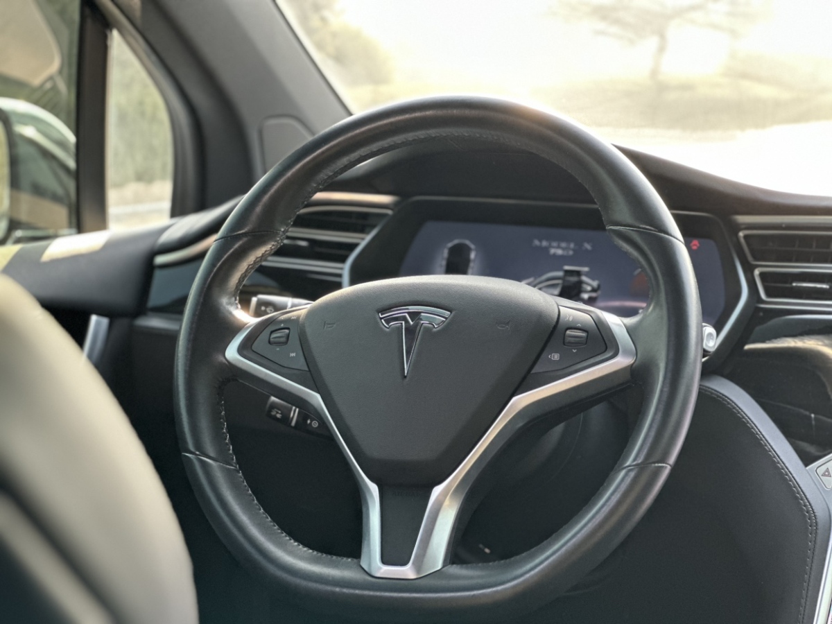 特斯拉 Model X  2016款 Model X 75D圖片