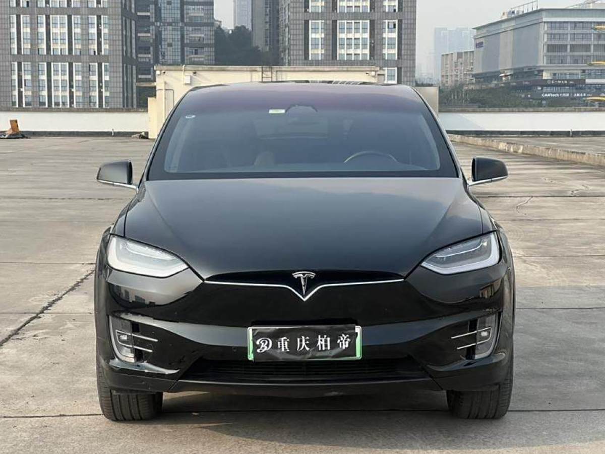 特斯拉 Model X  2020款 長續(xù)航升級版圖片