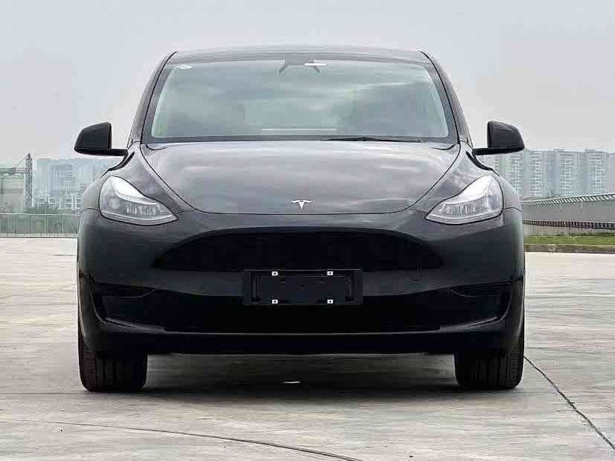 特斯拉 Model Y  2024款 后輪驅(qū)動版圖片