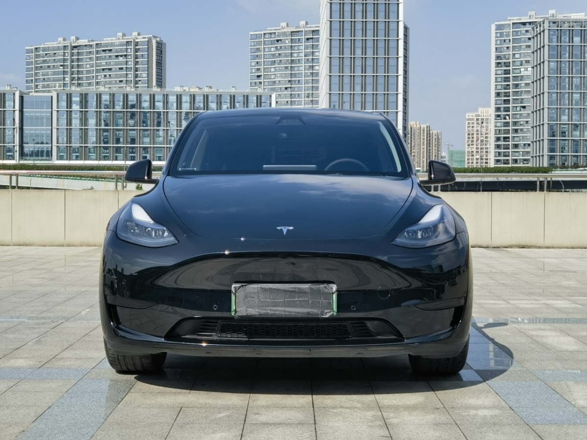 特斯拉 Model Y  2023款 后輪驅動版圖片