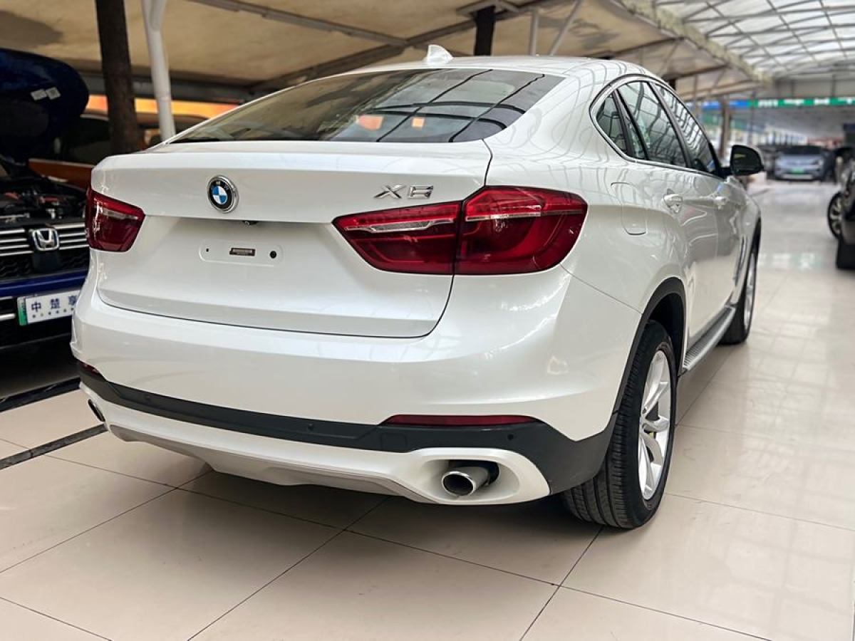 寶馬 寶馬X6  2017款 xDrive35i 領(lǐng)先型圖片