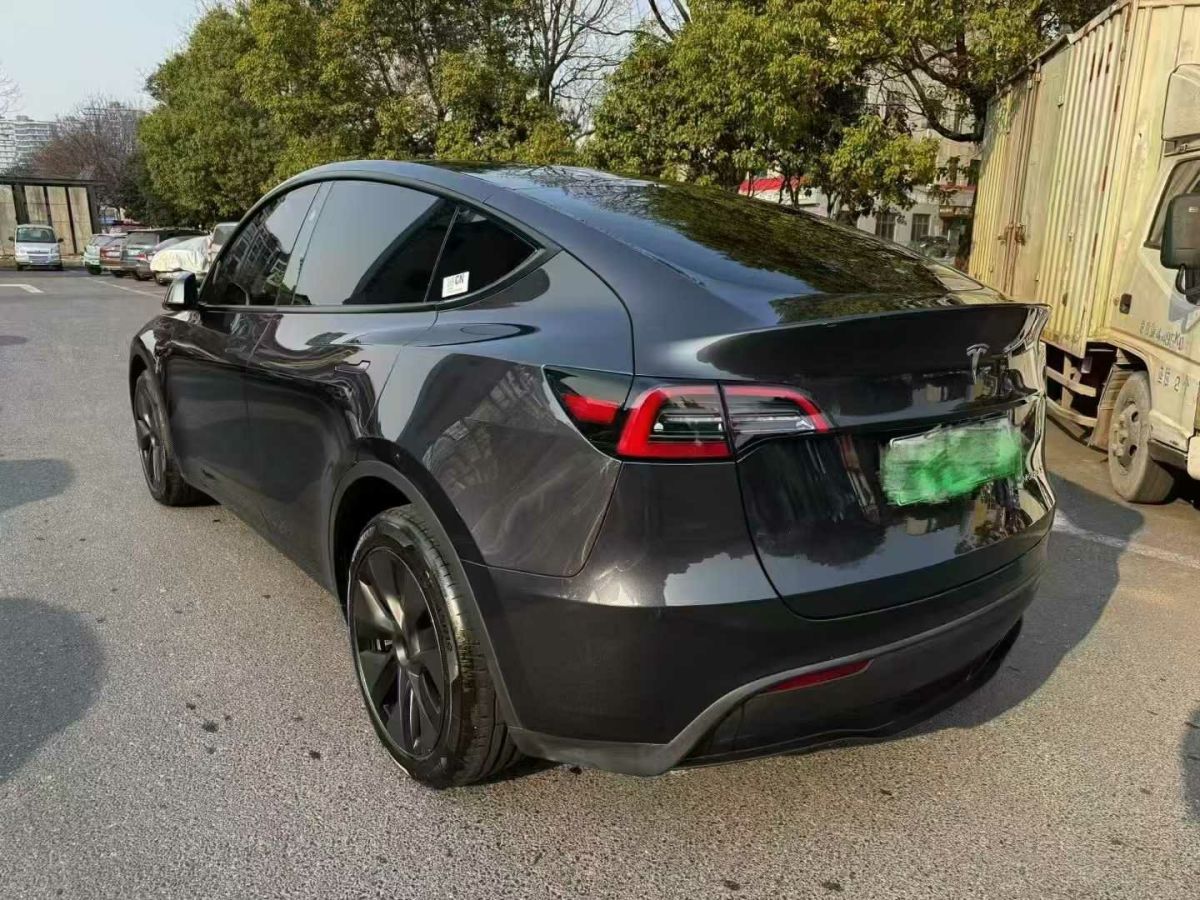 特斯拉 Model Y  2024款 Performance高性能版圖片