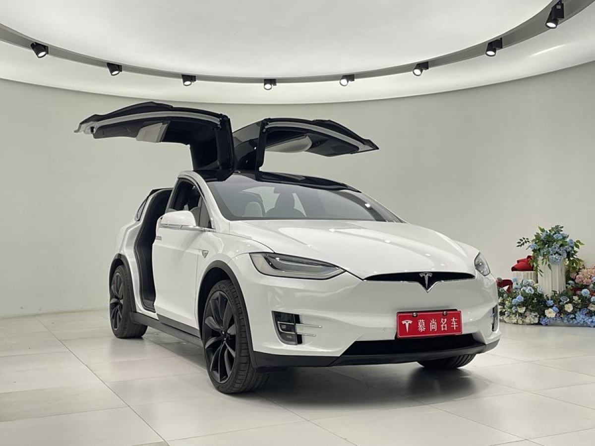 特斯拉 Model X  2019款 長續(xù)航版圖片