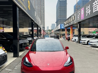 2023年6月 特斯拉 Model 3 后輪驅(qū)動(dòng)版圖片