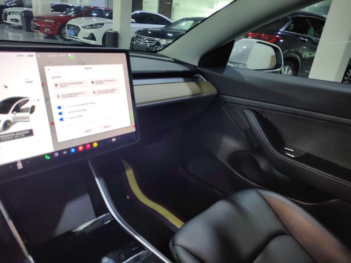 特斯拉 Model 3  2019款 長續(xù)航后驅版圖片