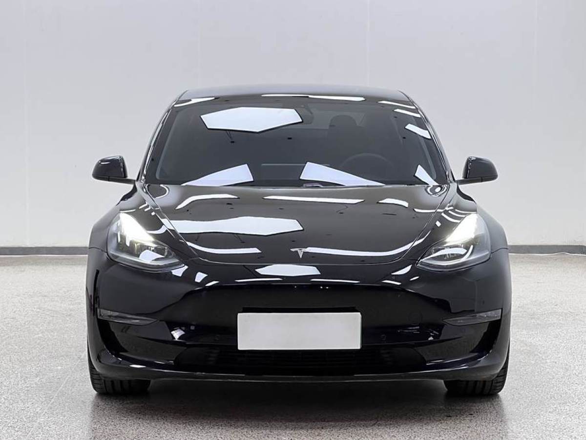 特斯拉 Model 3  2019款 Performance高性能全輪驅(qū)動(dòng)版圖片