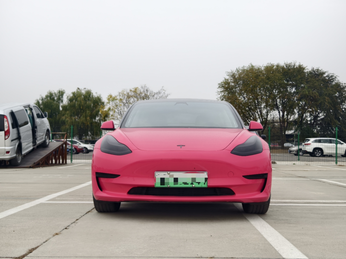 特斯拉 Model 3  2019款 標(biāo)準(zhǔn)續(xù)航后驅(qū)升級(jí)版圖片