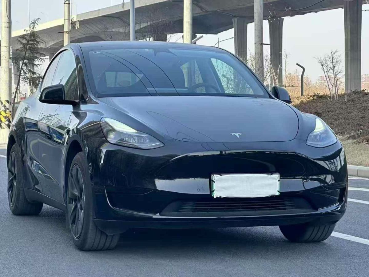 特斯拉 Model Y  2024款 Performance高性能版圖片