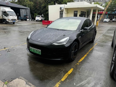 2020年5月 特斯拉 Model 3 標(biāo)準(zhǔn)續(xù)航后驅(qū)升級(jí)版圖片