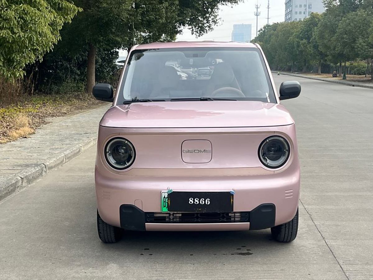 吉利 熊貓mini  2023款 200km 靈動(dòng)熊圖片