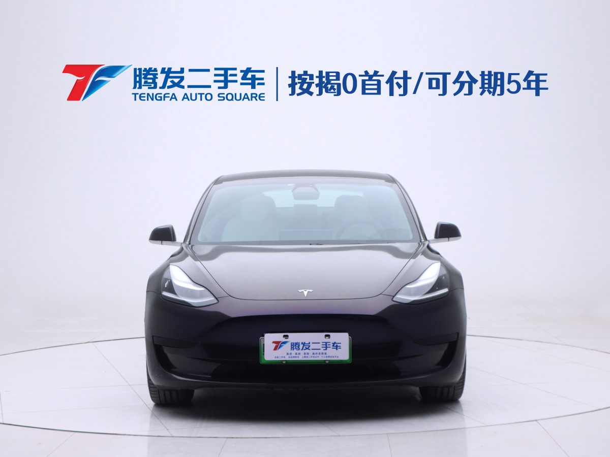 特斯拉 Model 3  2019款 標(biāo)準(zhǔn)續(xù)航后驅(qū)升級(jí)版圖片