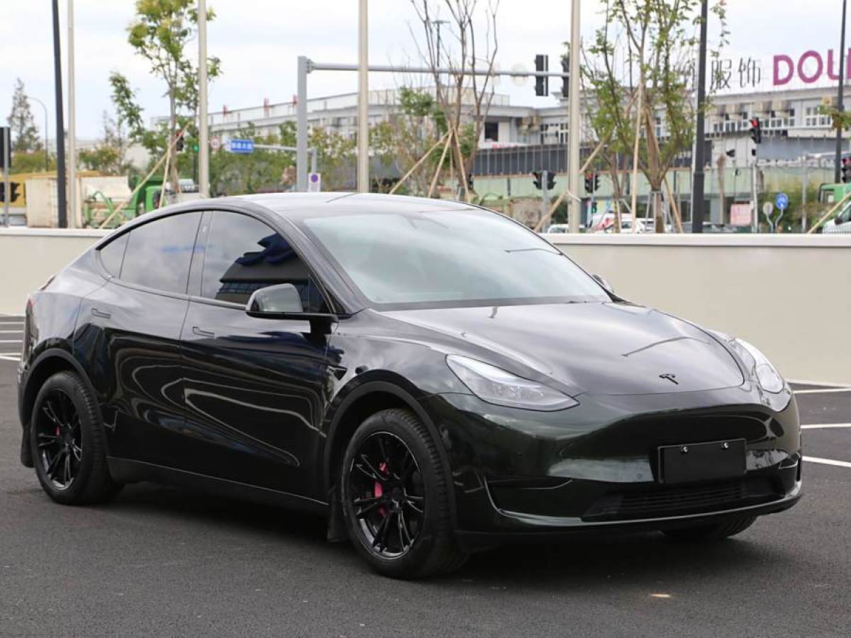 特斯拉 Model Y  2022款 后輪驅(qū)動(dòng)版圖片